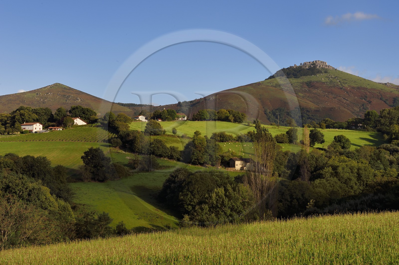 France, Pyrenees Atlantiques, Basque Country, Espelette, hamlet at the foot of Mont Mondarrain