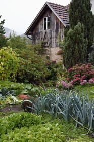 France, Haut-Rhin (68), Parc naturel régional des ballons des Vosges, Storckensohn non loin de Fellering, jardin potager