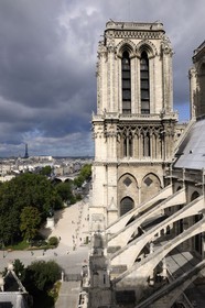 France, Paris (75), île de la Cité, la cathédrale Notre-Dame