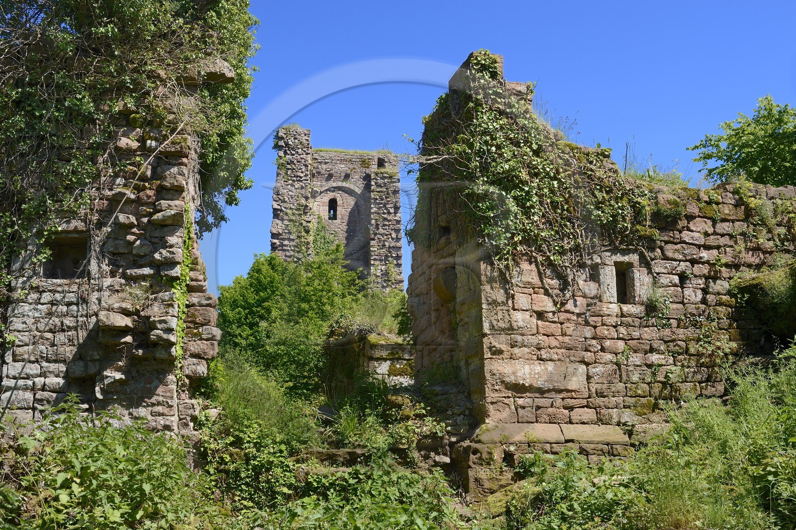 France, Bas-Rhin (67),  Saverne, chateau du Grand Geroldseck du XIIème siècle, donjon carré en pierres à bossage avec murs de 3 mètres d'épaisseur