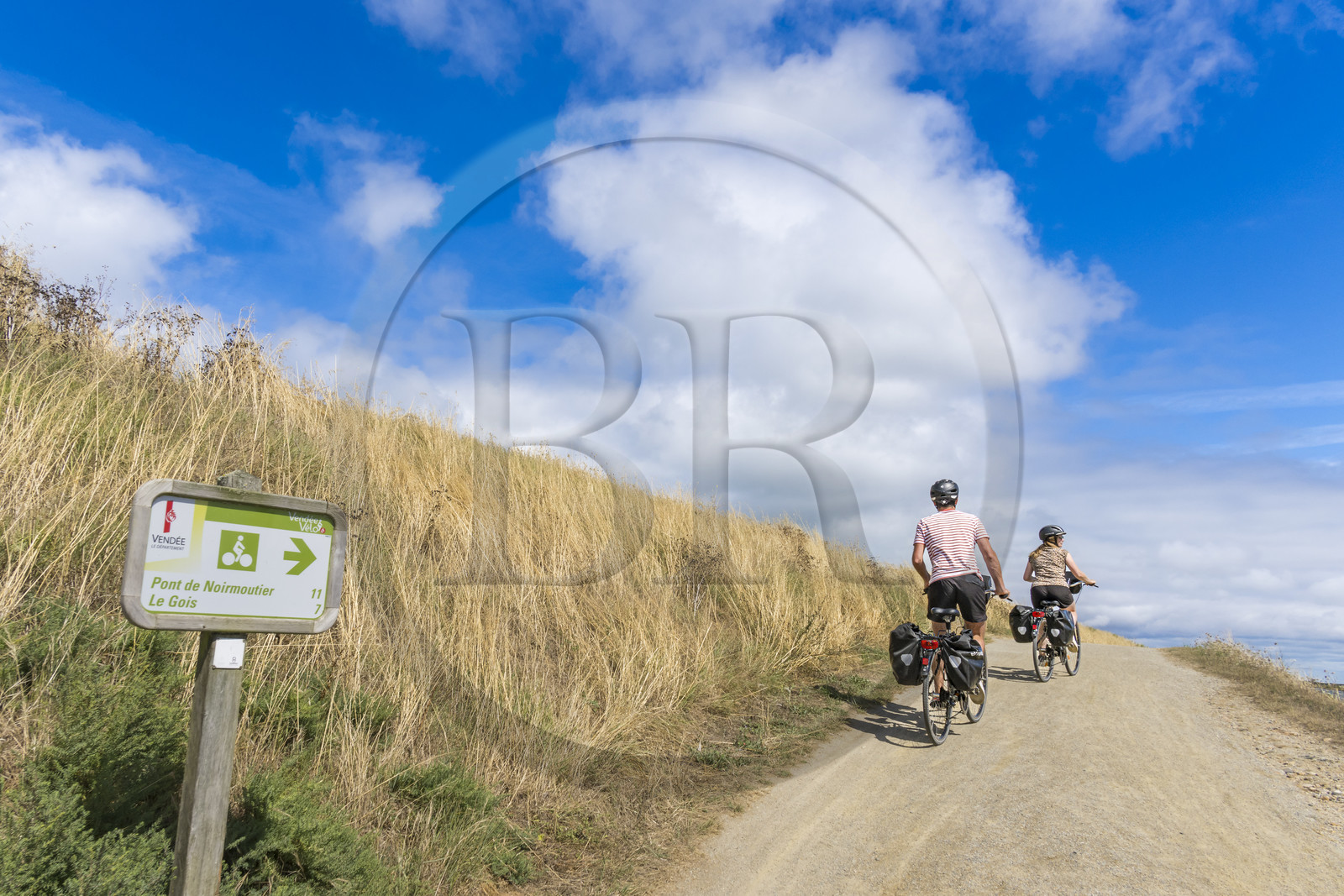 France, Vendée (85), île de Noirmoutier, La Guérinière, cyclistes sur la piste cyclable qui suit la digue entre le Port de Bonhomme et le passage du Gois