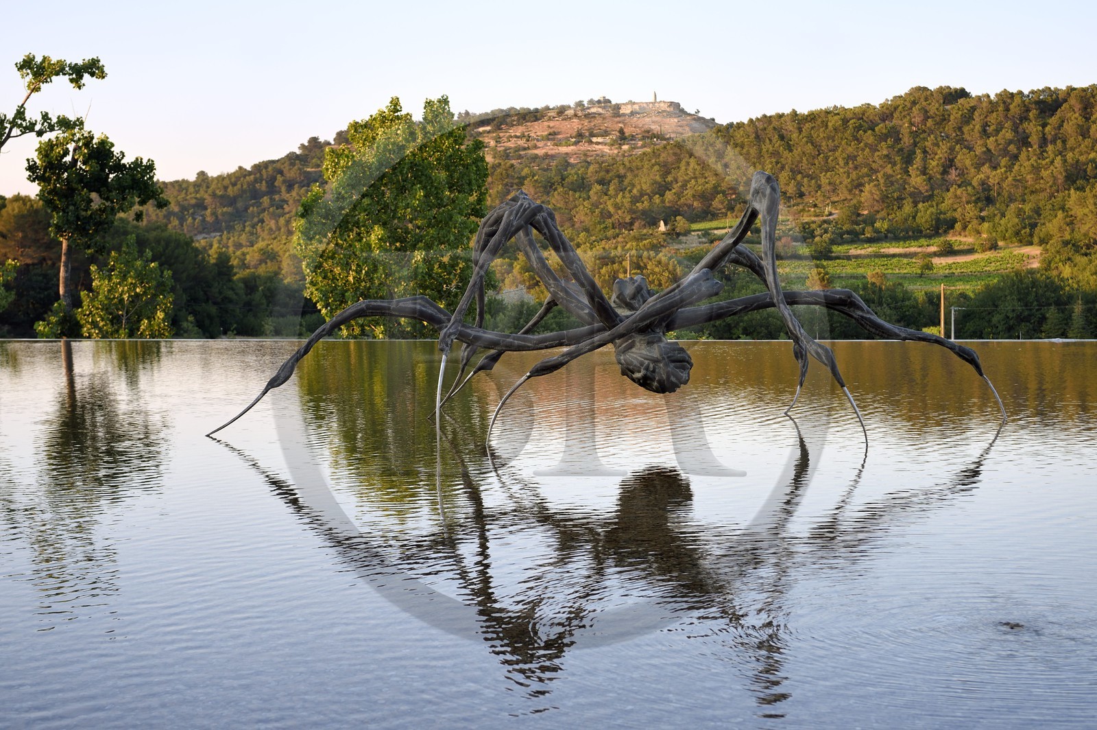 France, Bouches-du-Rhône (13),  Le Puy Sainte Réparade, Chateau La Coste domaine viticole et centre d'art contemporain, Crouching Spider 6695 de Louise Bourgeois (Mention Obligatoire)