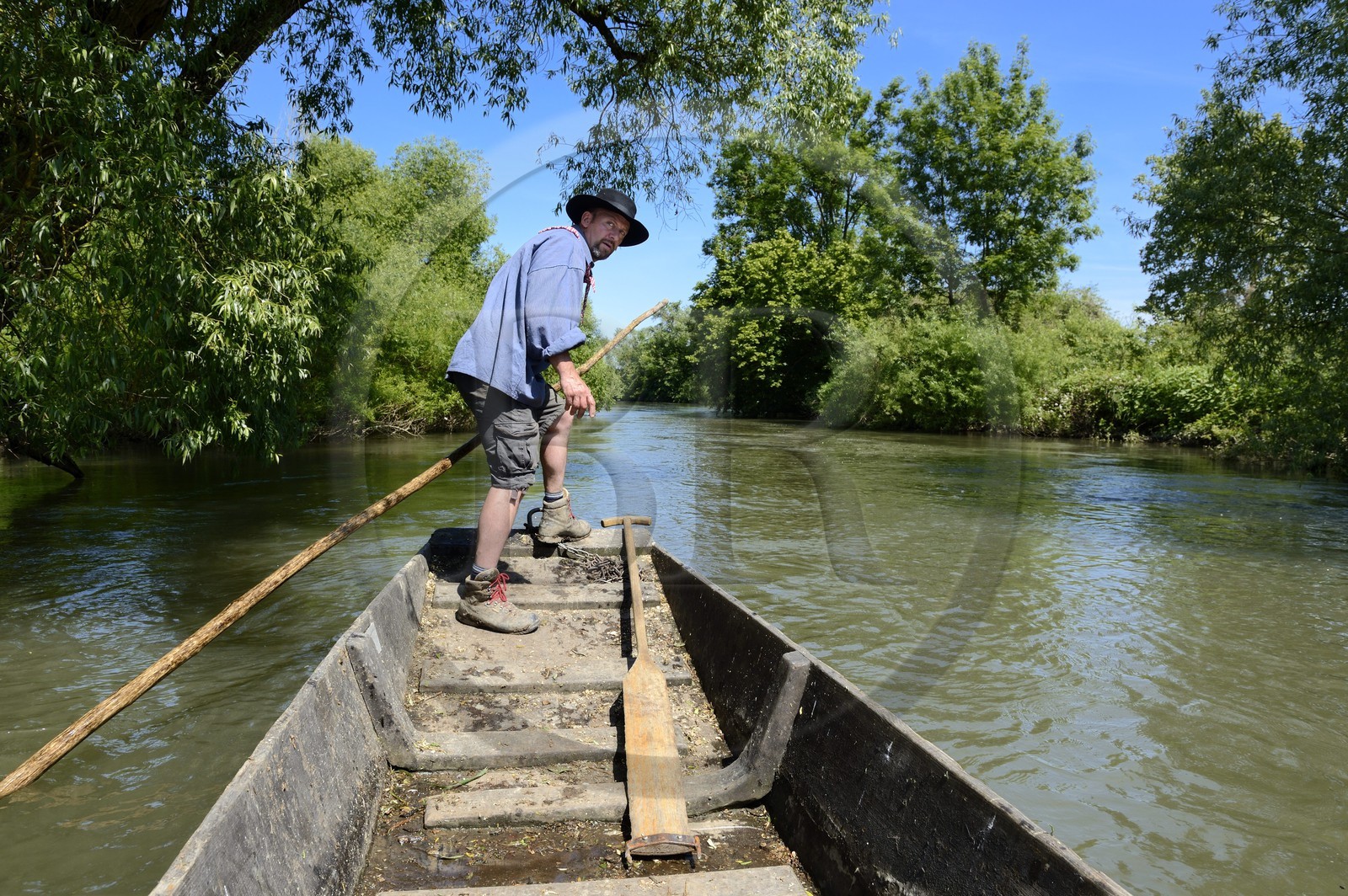France, Bas-Rhin (67), région d'Ebersmunster et Muttersholtz, le Grand Ried, le batelier Patrick Unterstock dans une barque à fond plat en bois sur la rivière l'Ill