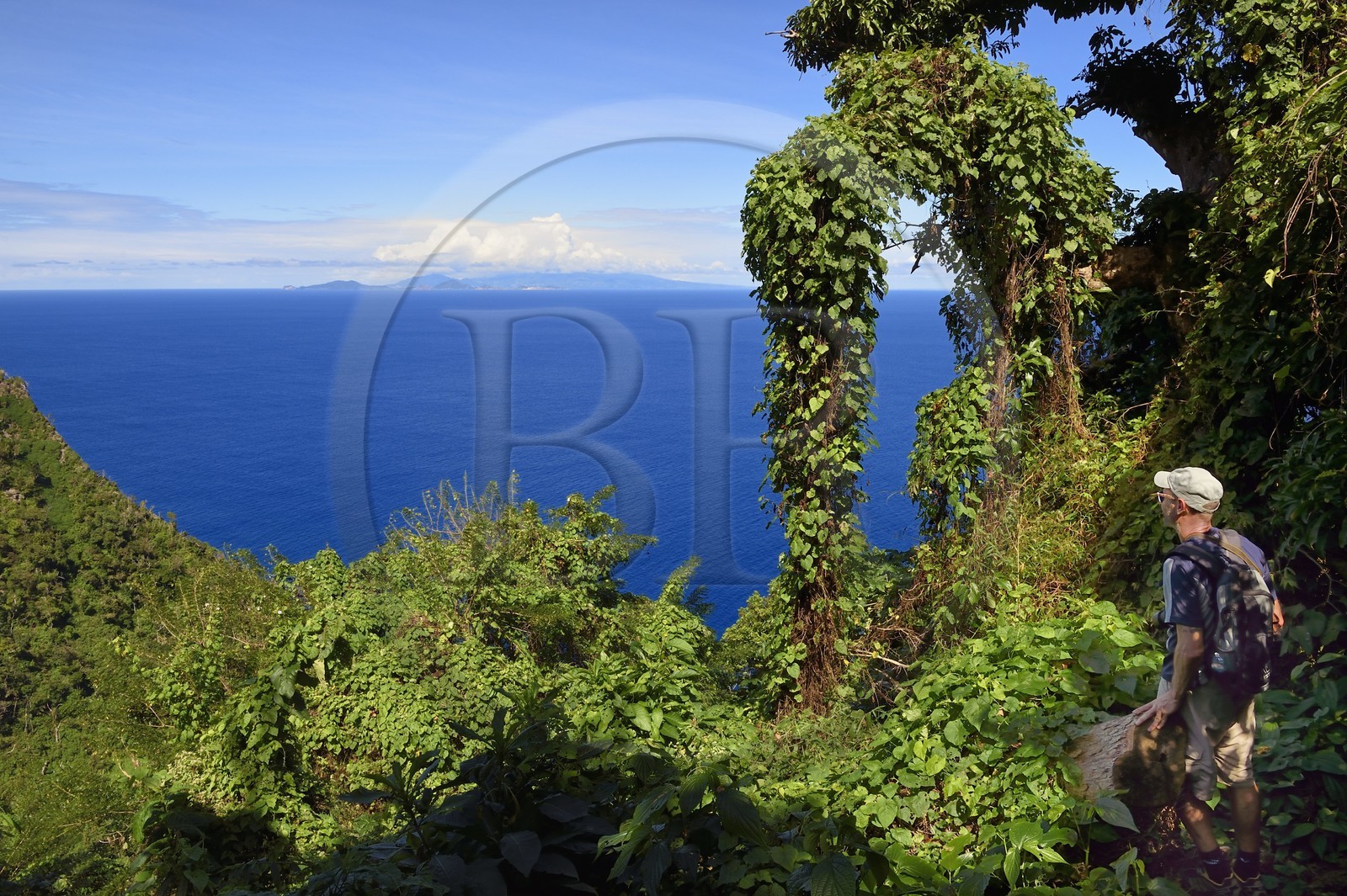 Caribbean, Dominica Island, hiker on segment 13 of the Waitukubuli National Trail in the north of the island between Pennville and Capuchin, Les Saintes in French Guadeloupe in the background