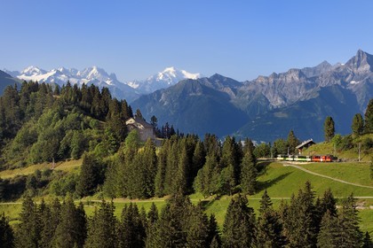 Suisse, canton de Vaud, Villars-sur-Ollon, train qui rejoint la gare du col de Bretaye à la station Bouquetins et le Mont-Blanc en arrière plan
