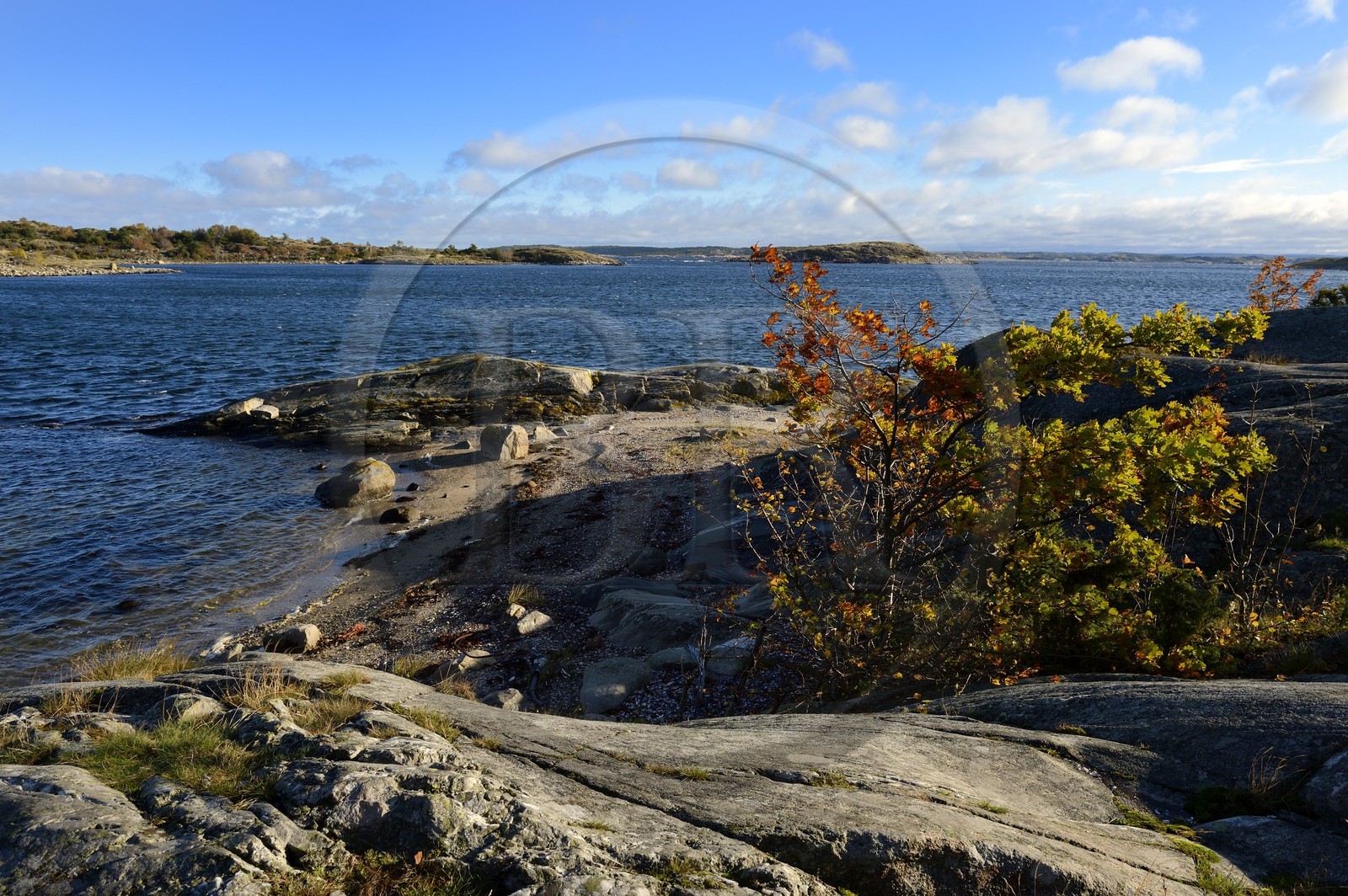Sweden, Västra Götaland, Koster Islands, Sydkoster sandy beach south of Ekenäs