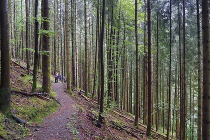 France, Haut-Rhin (68), Parc naturel régional des ballons des Vosges, randonneurs remontant la vallée de Storckensohn vers le sommet de La Tête des Perches