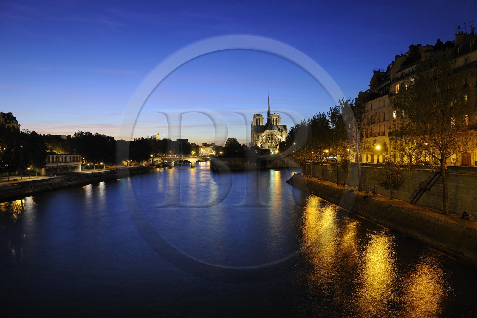 France, Paris (75), les rives de la Seine, classées Patrimoine Mondial de l'UNESCO, la cathédrale Notre-Dame