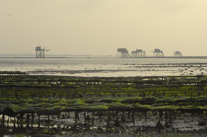 France, Charente-Maritime (17), Ile Madame, parc à huîtres et carrelets sur la côte