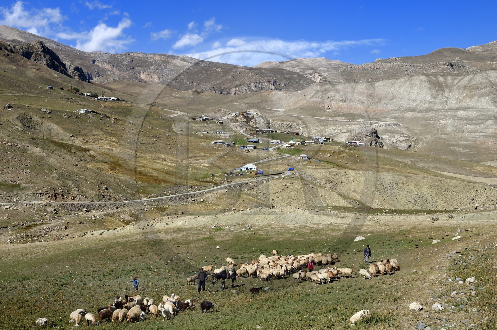 Azerbaïdjan, région de Quba (Guba), chaine de montagne du Grand Caucase, route Xinaliq Yolu vers Khinalug, village de Jek, famille de bergers avec leur troupeau de moutons