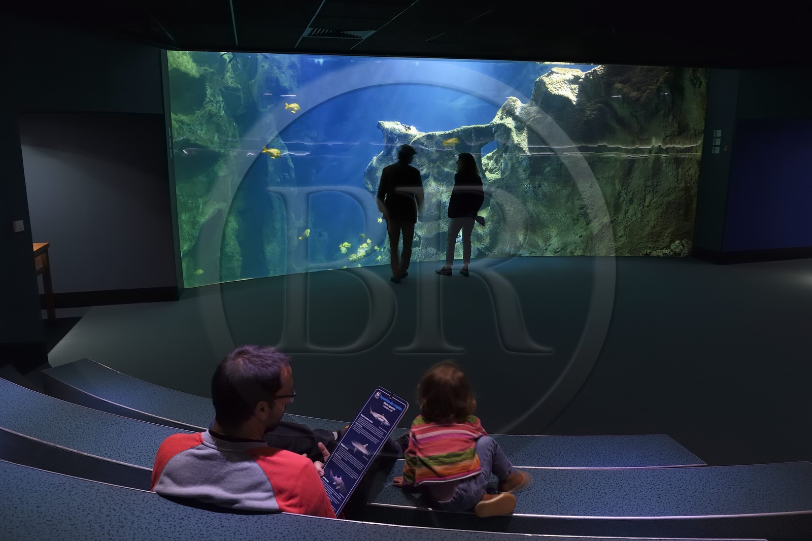 France, Charente-Maritime (17), La Rochelle, Aquarium La Rochelle, Mention obligatoire, le bassin des requins