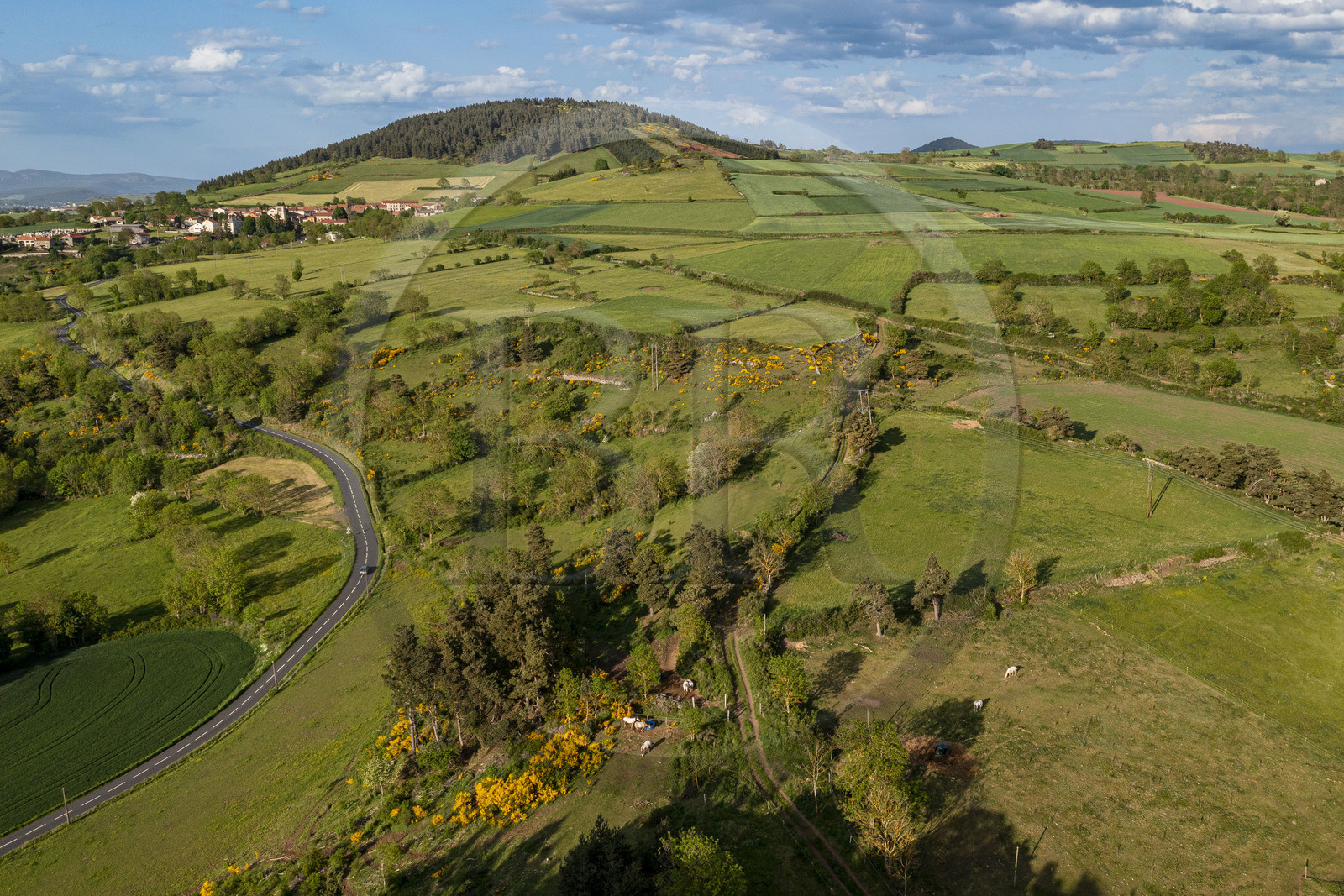 France, Haute-Loire (43), Saint-Martin-de-Fugères, paysage de la randonnée avec un âne sur le chemin de Stevenson (GR 70) (vue aérienne)