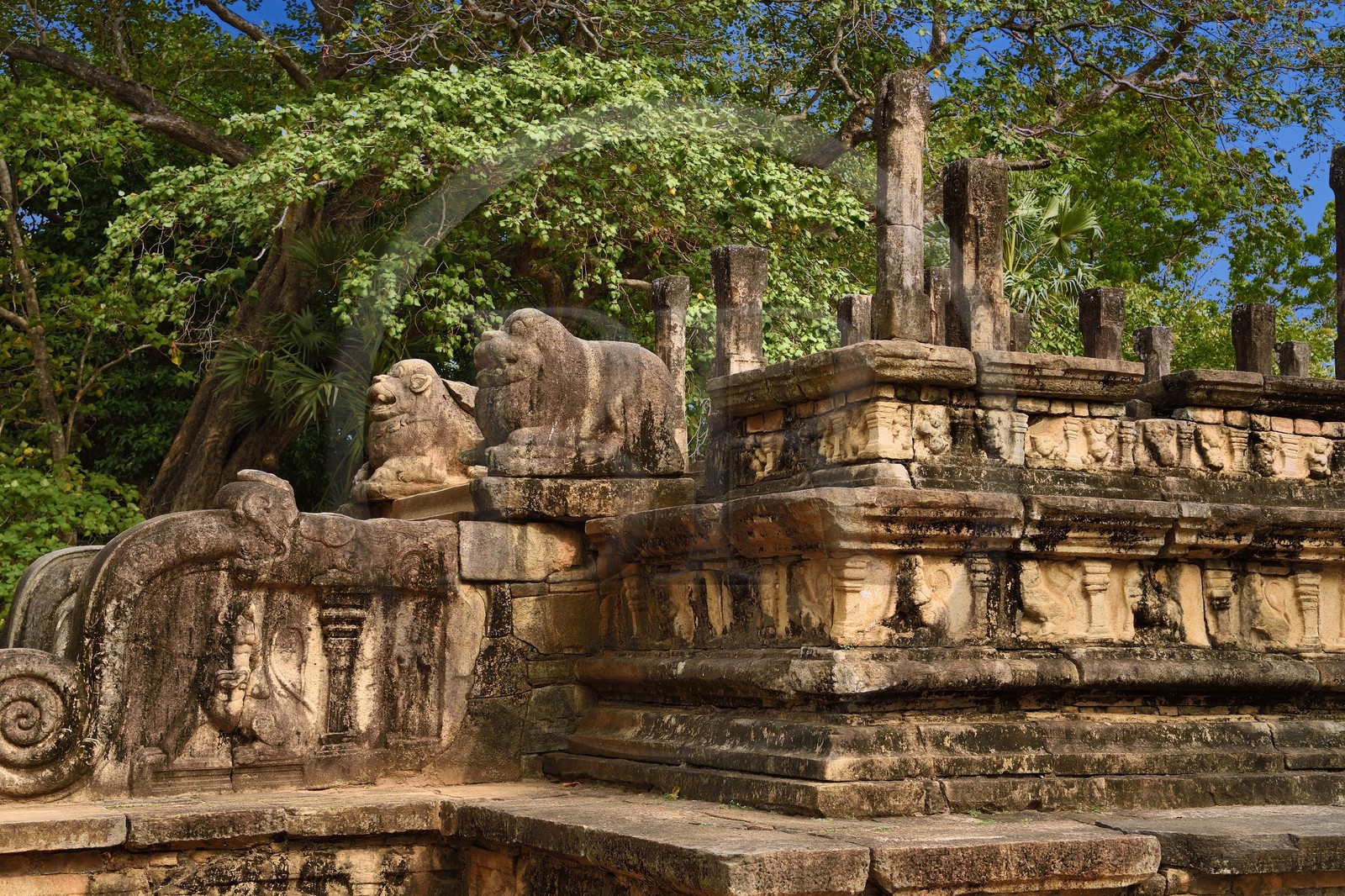 Sri Lanka, province du Centre-Nord, Polonnaruwa, l'ancienne capital du pays (XIe au XIIIe siècle) est classée au Patrimoine Mondial de l'UNESCO, Chambre du Conseil (Raja Sabahawa) datant du XIIe siècle