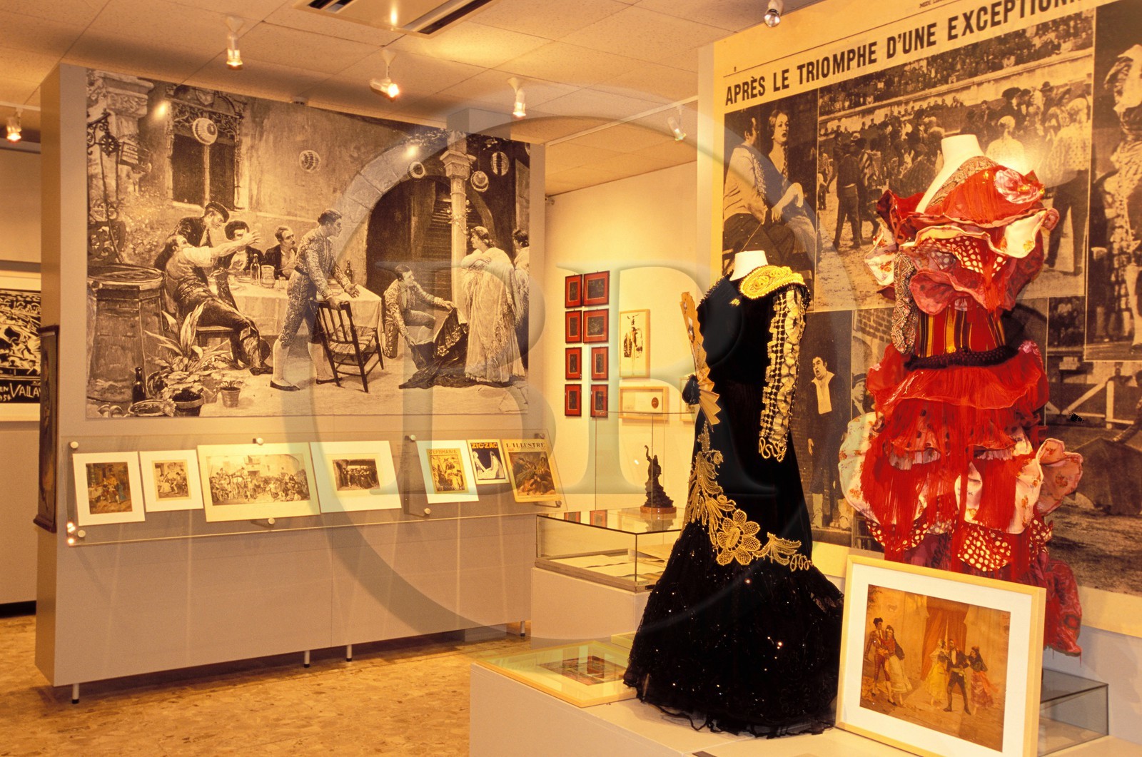 France, Gard (30), Nîmes, Musée des Cultures Taurines