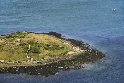 France, Morbihan (56), Golfe du Morbihan, île d'Er Lannic avec un site mégalithique cromlec'h (vue aérienne)
