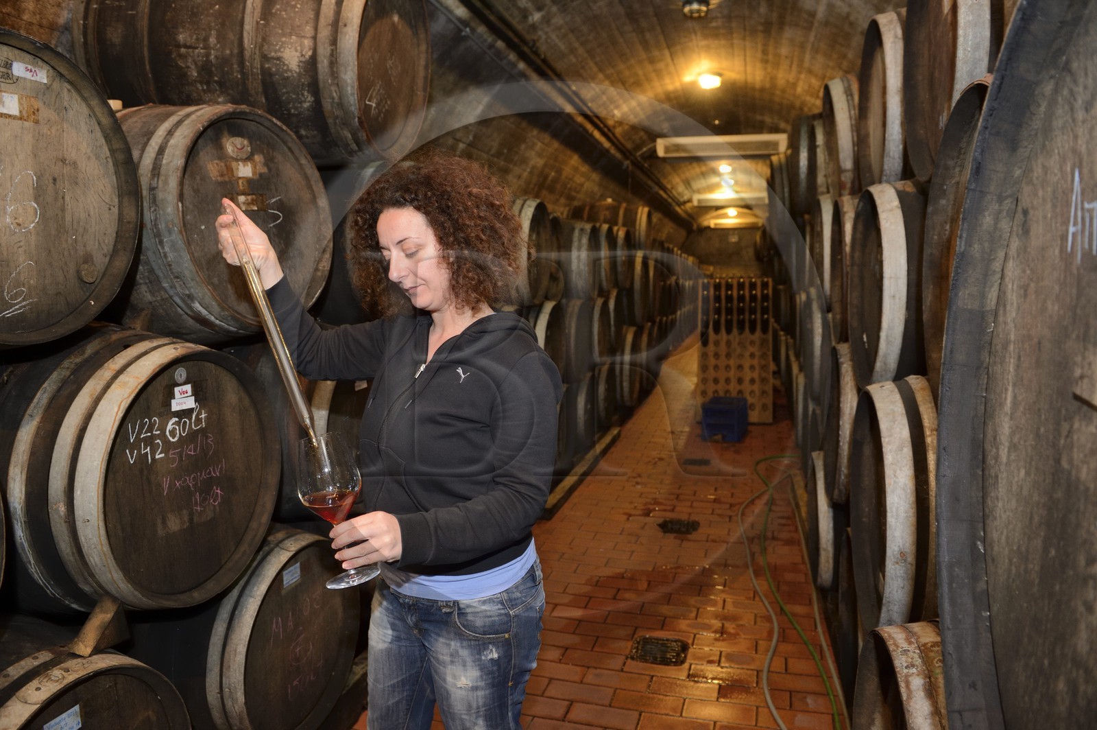 Grèce, Les Cyclades, mer Égée, île de Santorin (Thira ou Théra), plaine de Oia, Domaine Sigalas