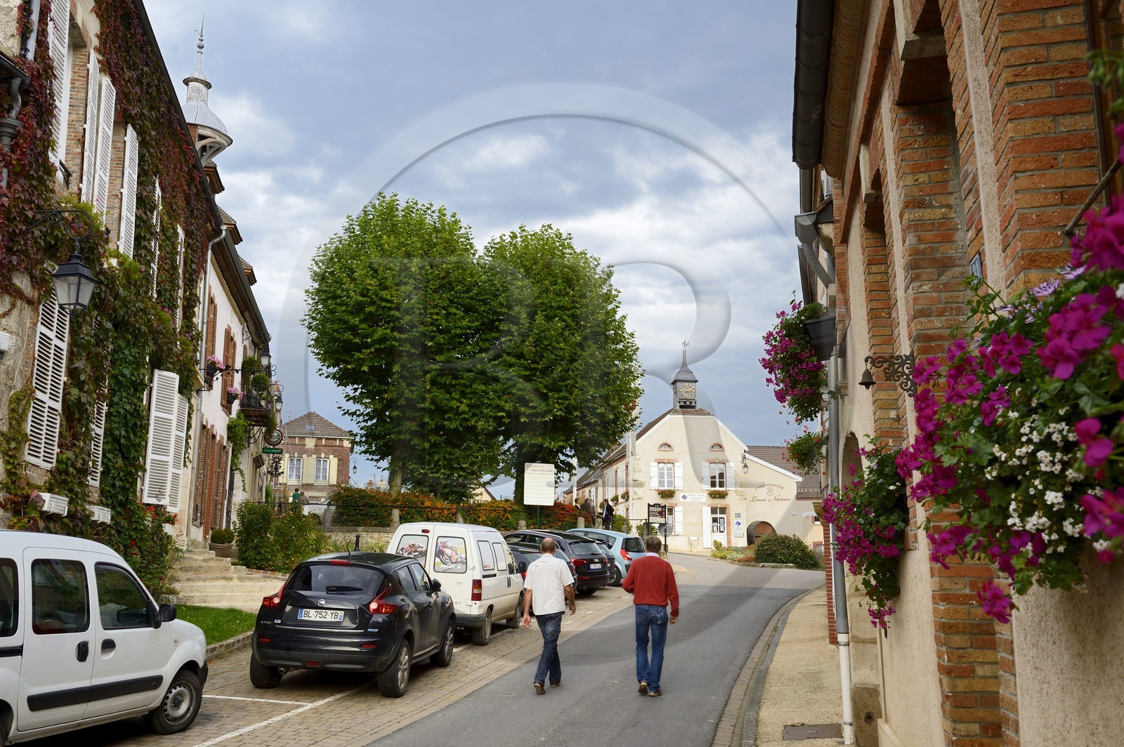 France, Marne, regional park of Montagne de Reims, Hautvillers, Main Street Henri Martin