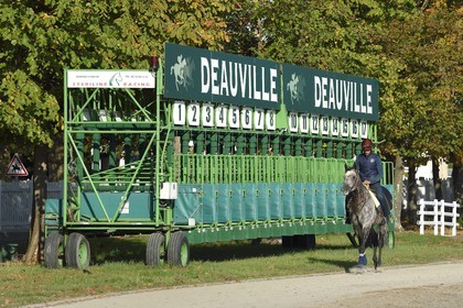 France, Calvados, Pays d'Auge, Deauville, Racecourse of Deauville-La Touques, rider in front of the starting stalls