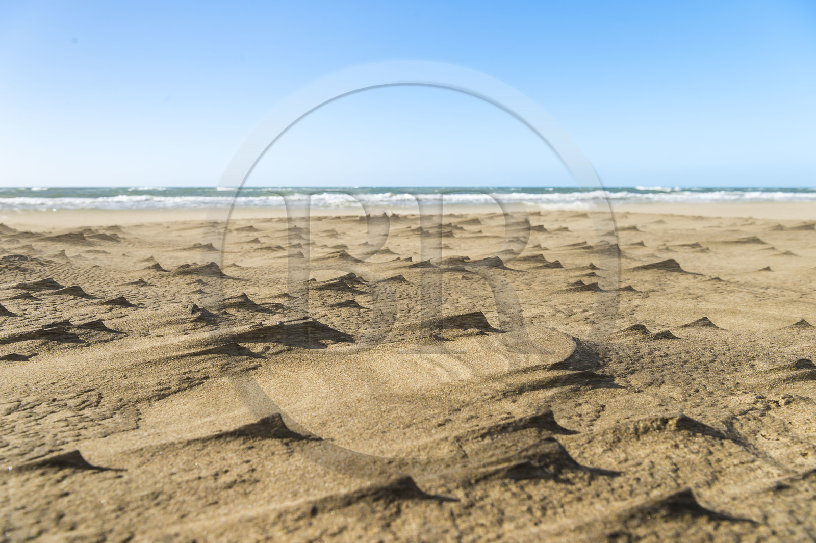 France, Gard (30), massif dunaire camarguais de la Pointe de l'Espiguette en bord de mer, la plage