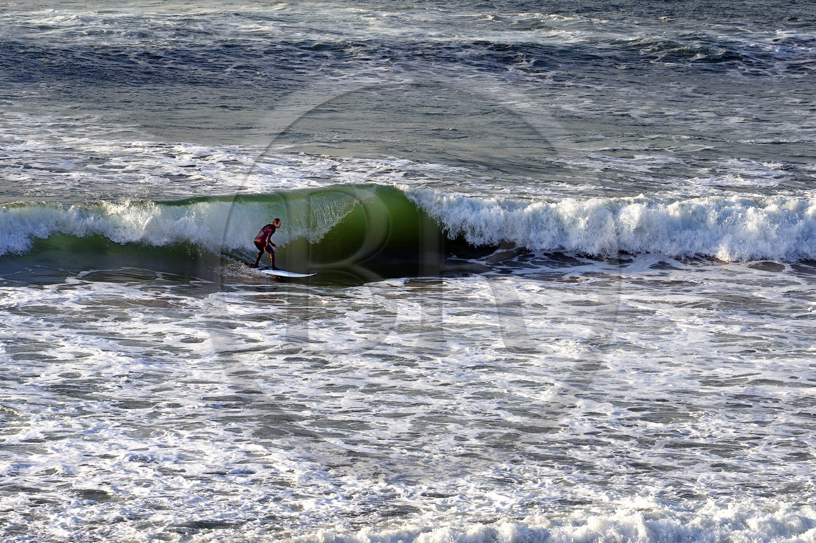 France, Pyrenees Atlantiques, Basque Country, Biarritz, surfer at the Grande Plage (town's largest beach)