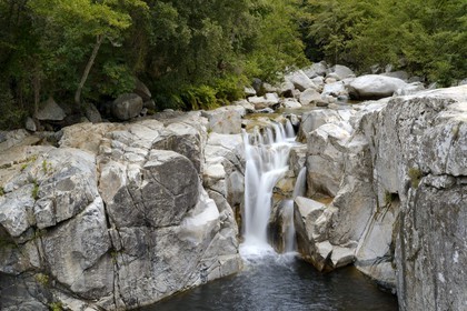 France, Corse-du-Sud (2A), région de Sartène, la rivière Rizzanèse au Ponte Vecchiu de Zoza