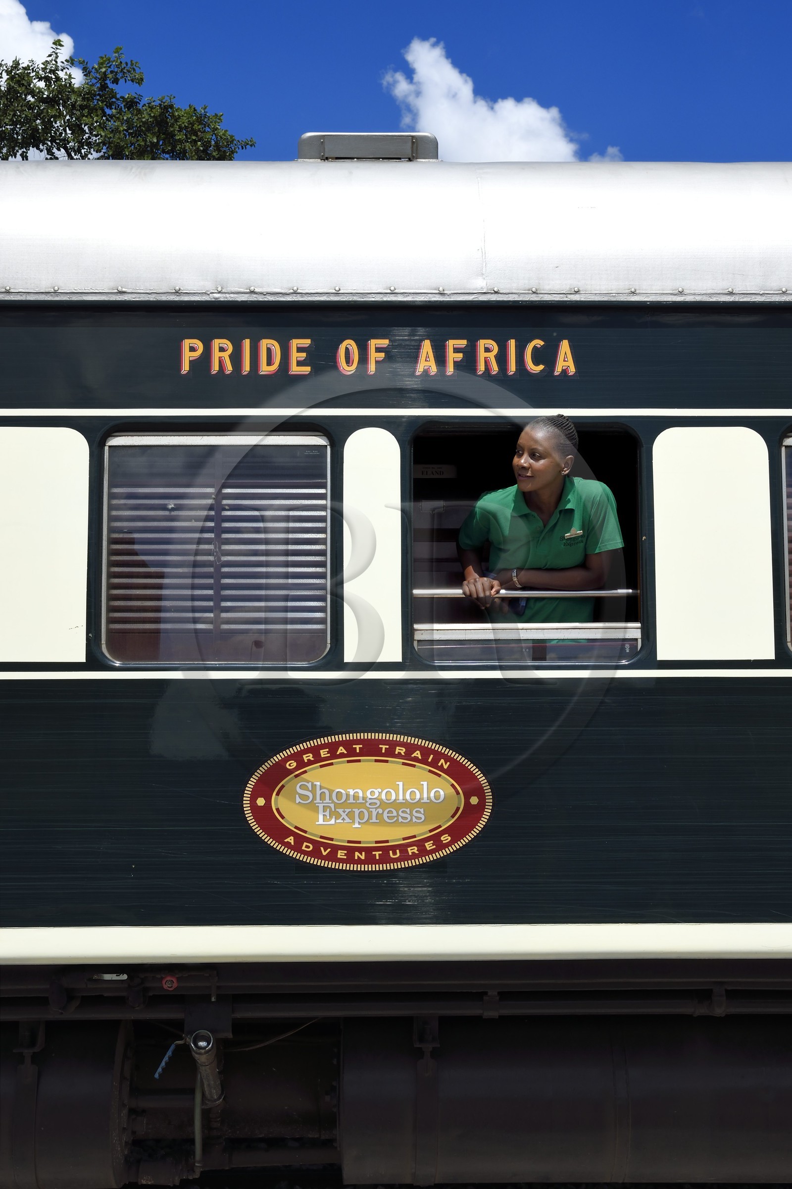 Namibie, région de Otjozondjupa, le train Shongololo express en gare de Otjiwarongo