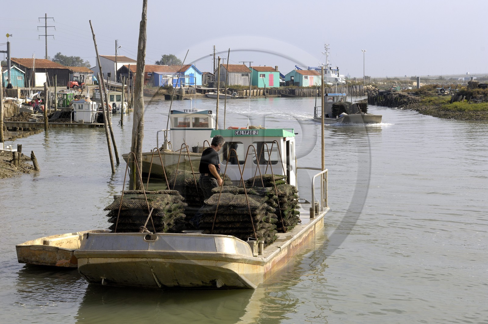 France, Charente-Maritime (17), Ile d'Oléron, le chenal d'Ors, chaland à huîtres dans le port ostréicole