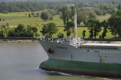 France, Seine-Maritime (76), Caudebec-en-Caux, bateau de haute mer Bulk Carrier Dobrota remontant la Seine en direction du port de Rouen