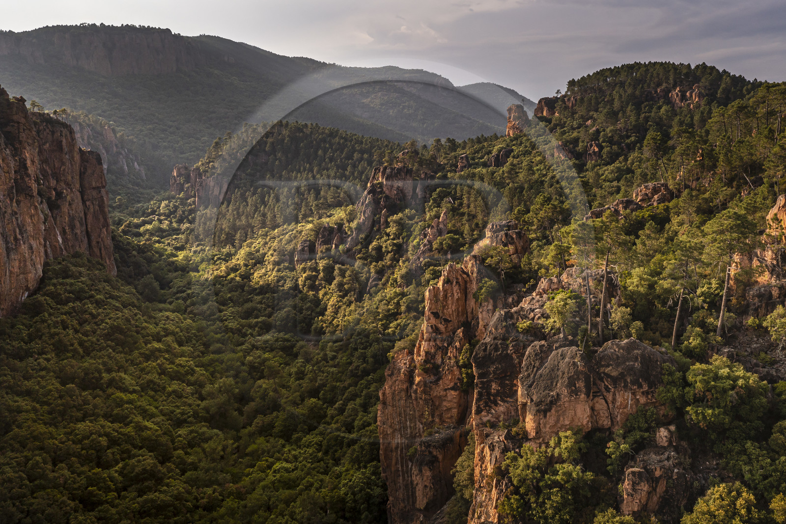 France, Var (83), entre Bagnols-en-Forêt et Roquebrune-sur-Argens, les Gorges du Blavet (vue aérienne)