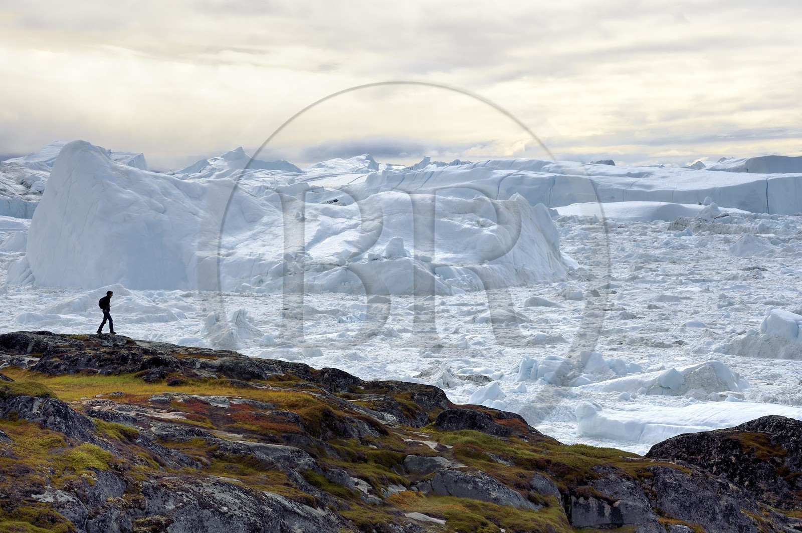 Groenland, cote ouest, baie de Disko, Ilulissat, randonneur en bordure du fjord glacé classé Patrimoine Mondial de l'UNESCO qui est l’embouchure maritime du glacier Sermeq Kujalleq (Jakobshavn Glacier)