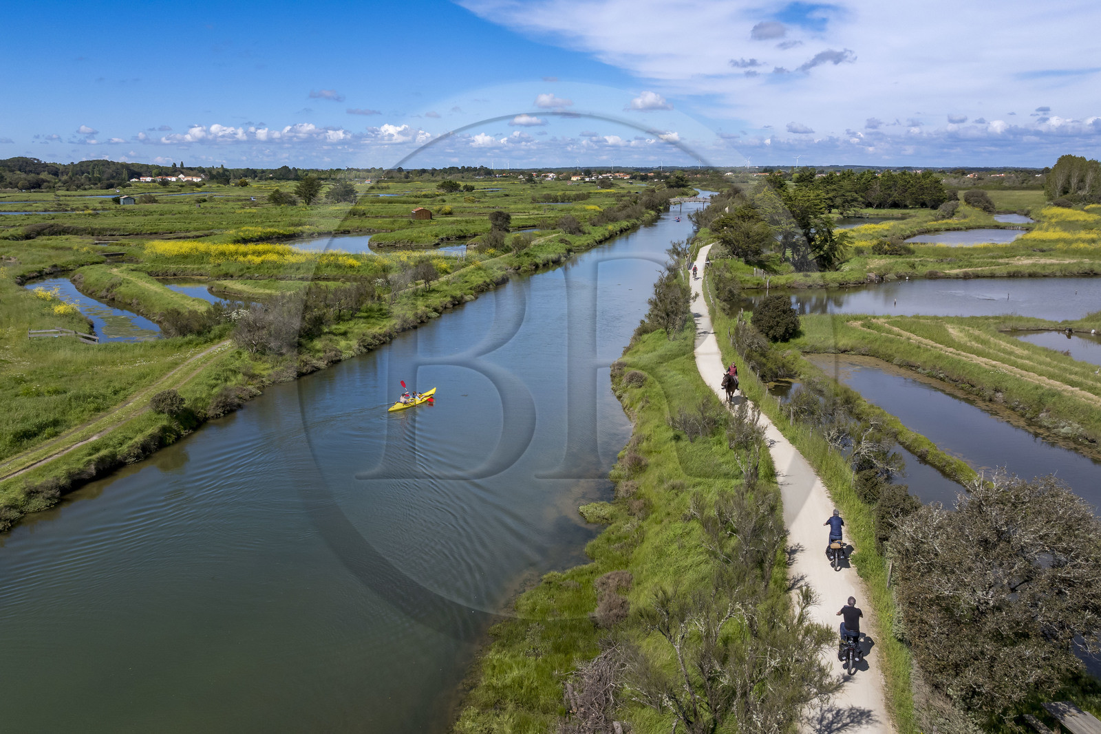 France, Vendée (85), Les-Sables-d'Olonne, marais de l'Auzance, cavalier et cyclistes sur la piste de la véloroute Vendée Vélo Tour et Vélodyssée le long du canal de la Bauduère (vue aérienne)