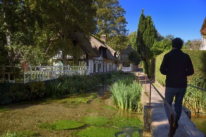 France, Seine-Maritime, Cote d'Albatre (Alabaster Coast), Pays de Caux, Veules les Roses, labelized the Most Beautiful Villages of France, thatched house along the river la Veules famous for the short length of its course (1,100 m)