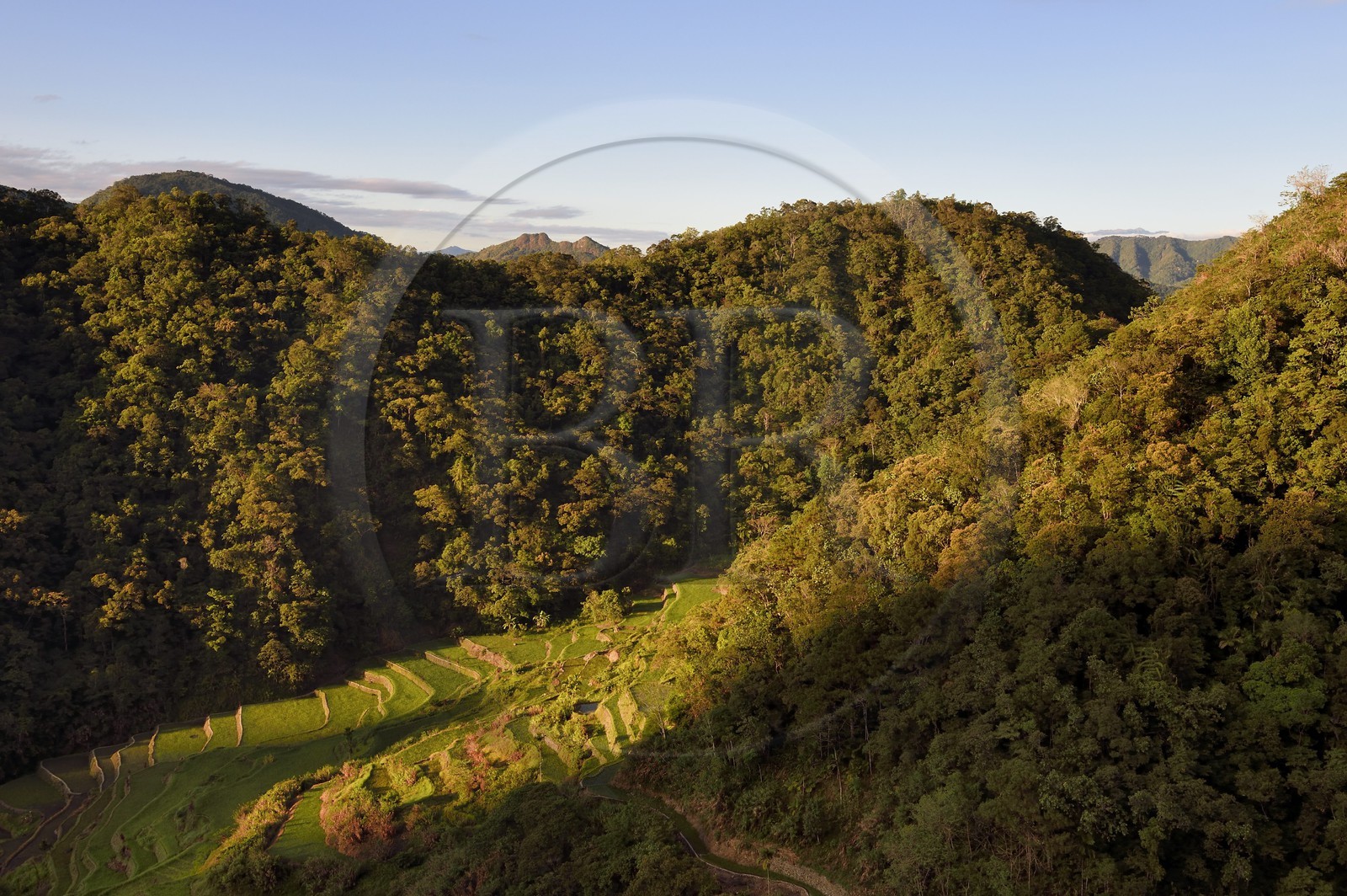 Philippines, province d'Ifugao, les rizières en terrasses de Banaue, classées Patrimoine Mondial de l'UNESCO, au lever du jour