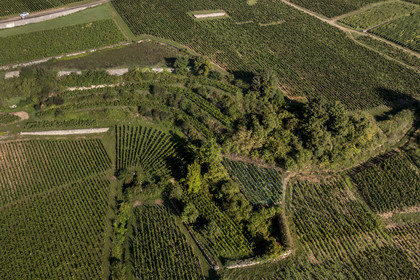 France, Côte-d'Or (21), Paysage culturel des climats de Bourgogne classés Patrimoine Mondial de l'UNESCO, Route des Grands Crus, vignoble de la Côte de Nuits à Vougeot,