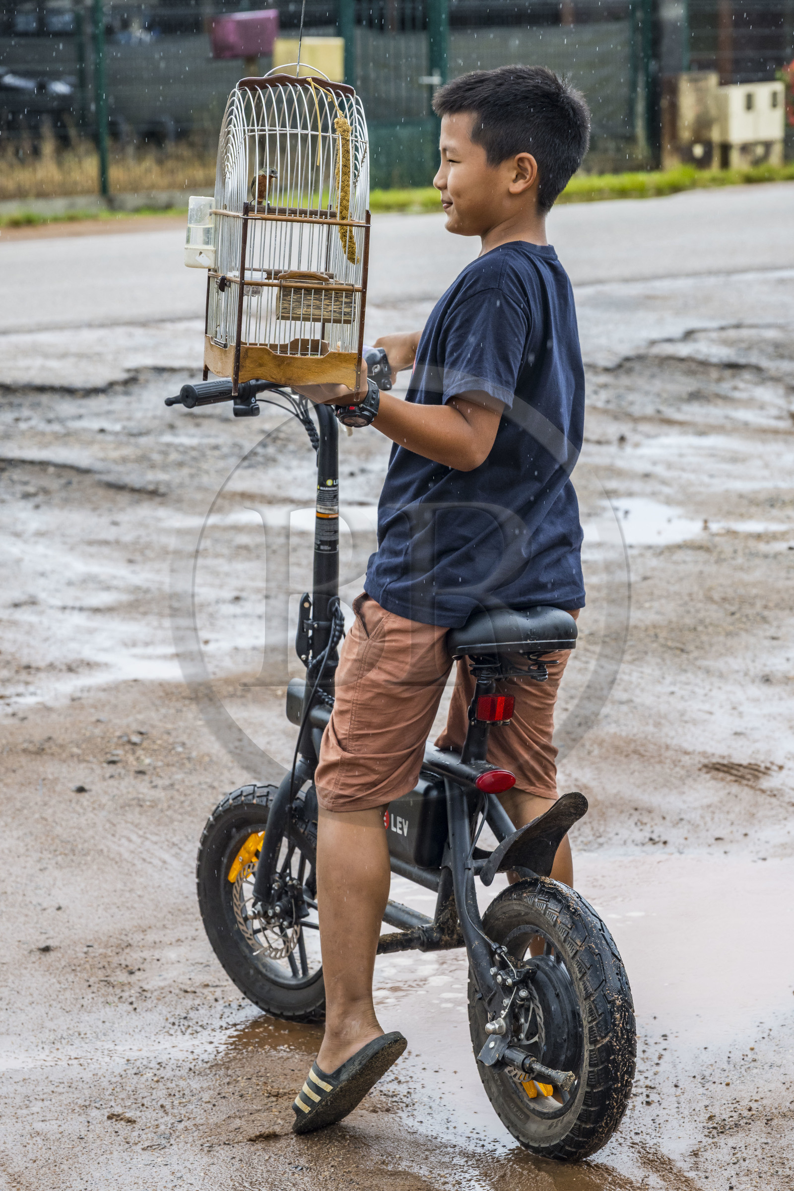 France, Guyane, Javouhey,  jeune garçon Hmong ayant acheté au marché du dimanche un Sporophile curio (Sporophila angolensis) en cage ou Picolette, espèce de passereau de Guyane réputé pour son chant extraordinaire