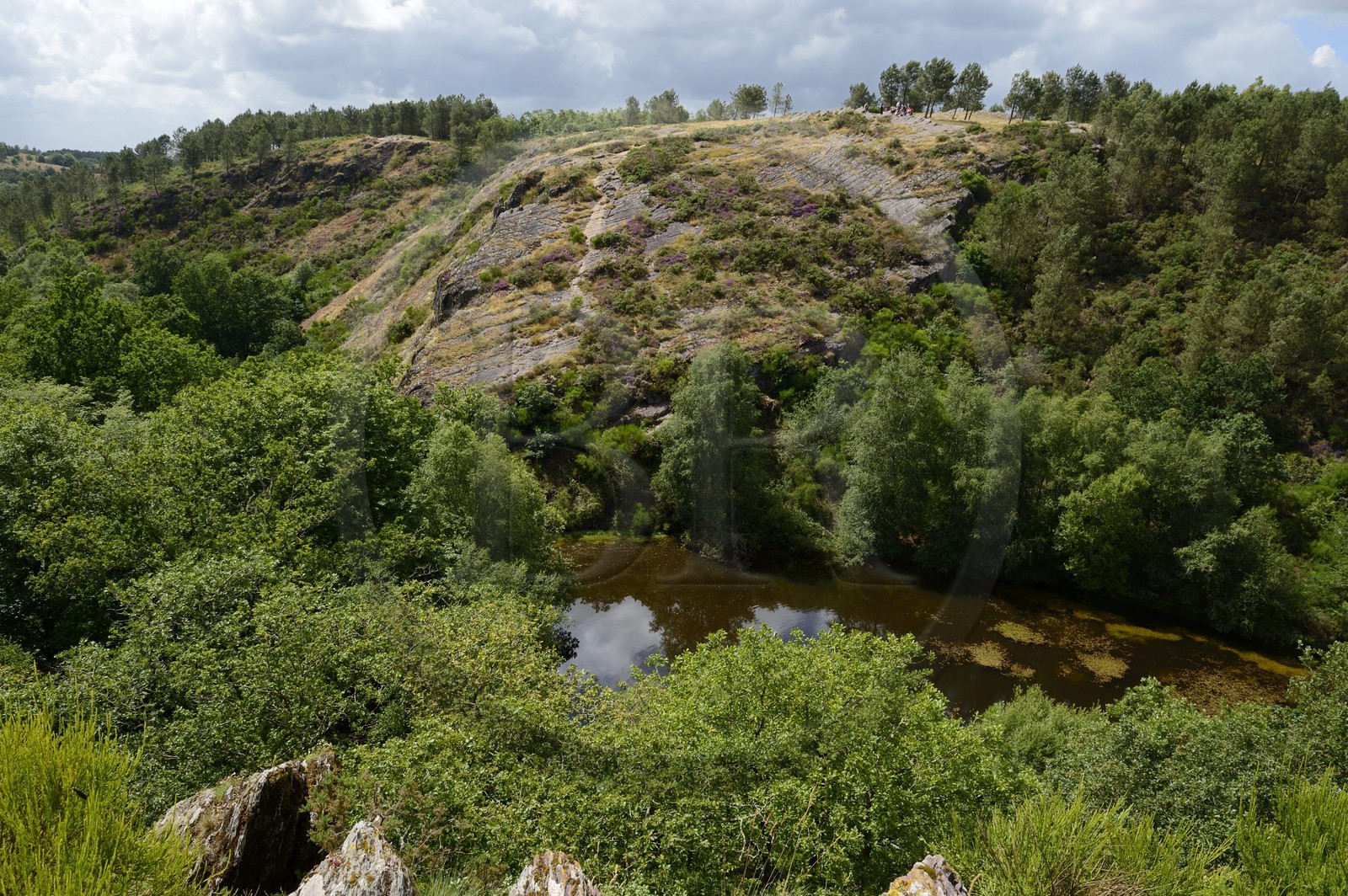 France, Morbihan (56), forêt de Brocéliande, Tréhorenteuc, la Mare aux Fées du Val sans Retour où selon la légende la Fée Morgane retenait ses amants infidèles