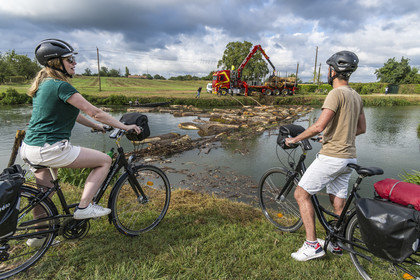 France, Deux-Sèvres (79), le Marais Poitevin, la Venise Verte, Magné, randonnée à bicyclette le long de la Sèvre Niortaise, flottage du bois