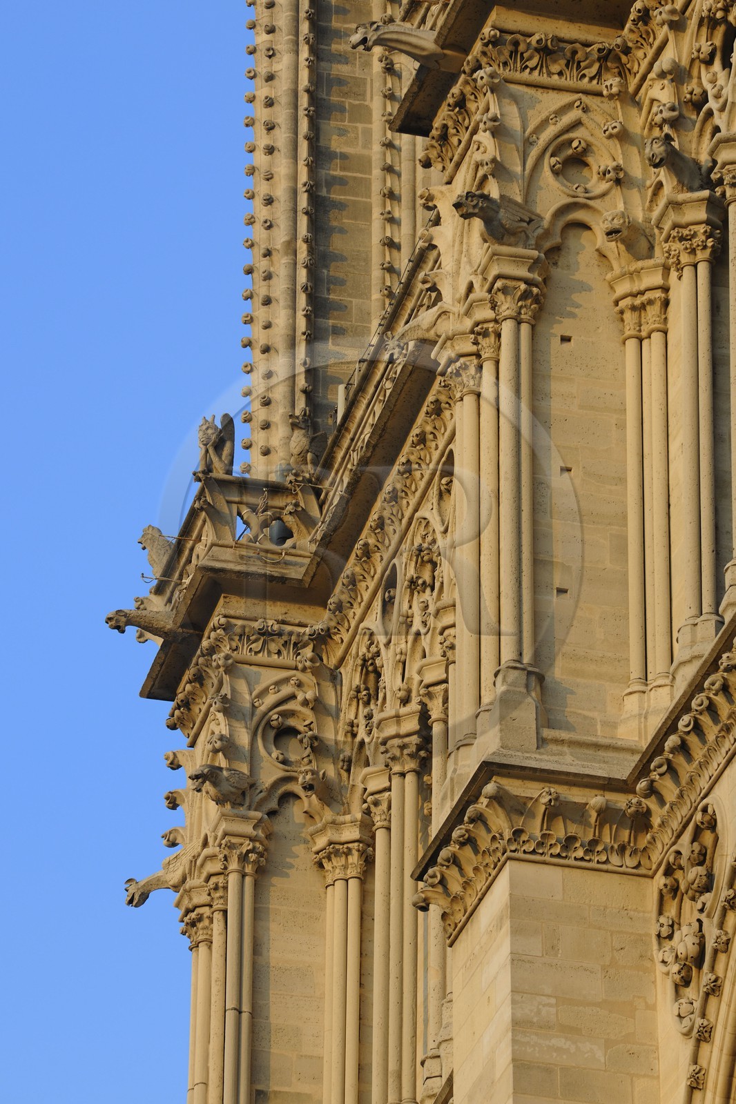 France, Paris, ile de la Cite, Notre-Dame Cathedral