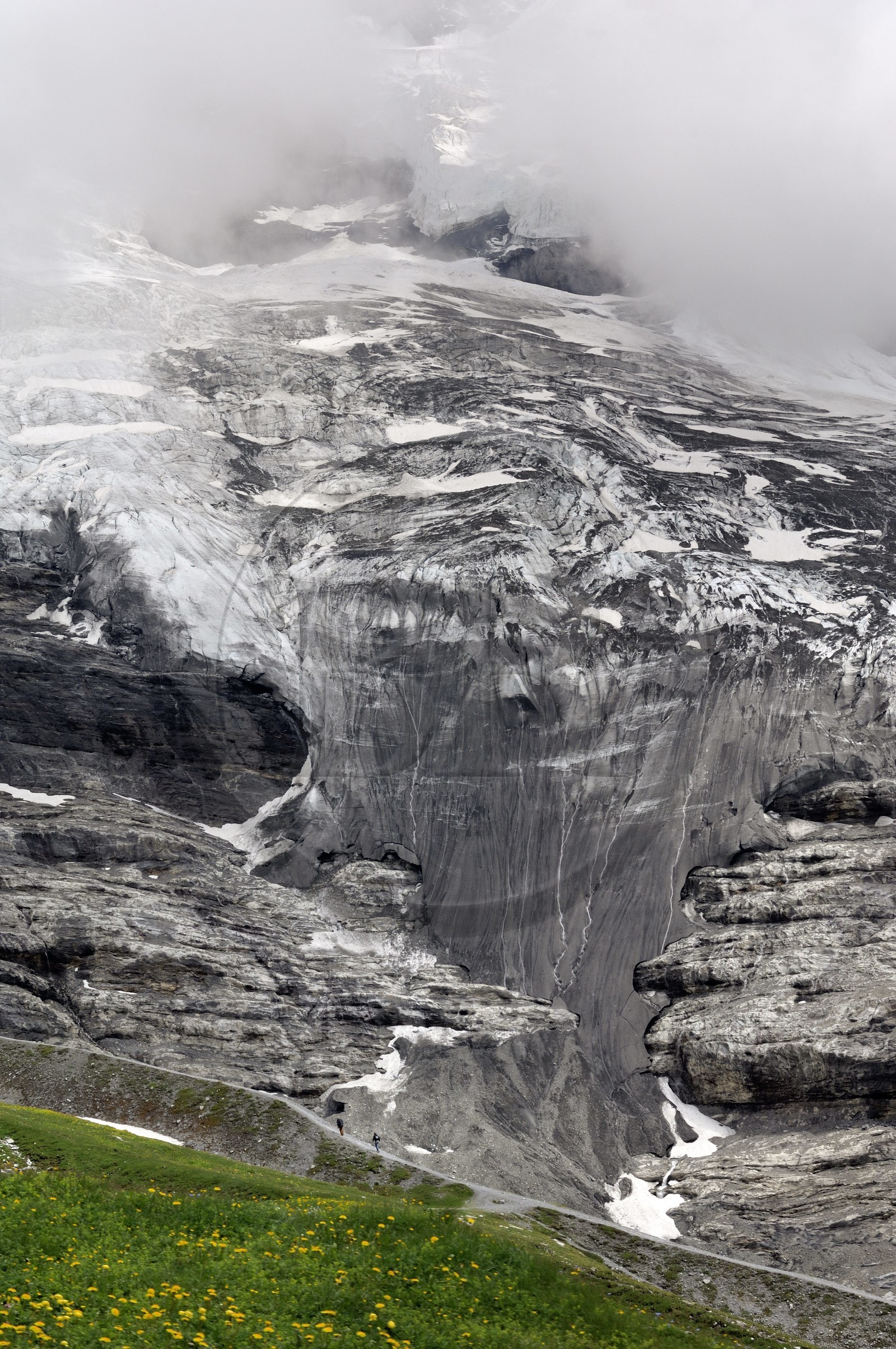 Suisse, Canton de Berne, Oberland bernois, massif de la Jungfrau (3 454 m) dit le toit de l' Europe, classé Patrimoine Mondial de l' UNESCO, randonneurs