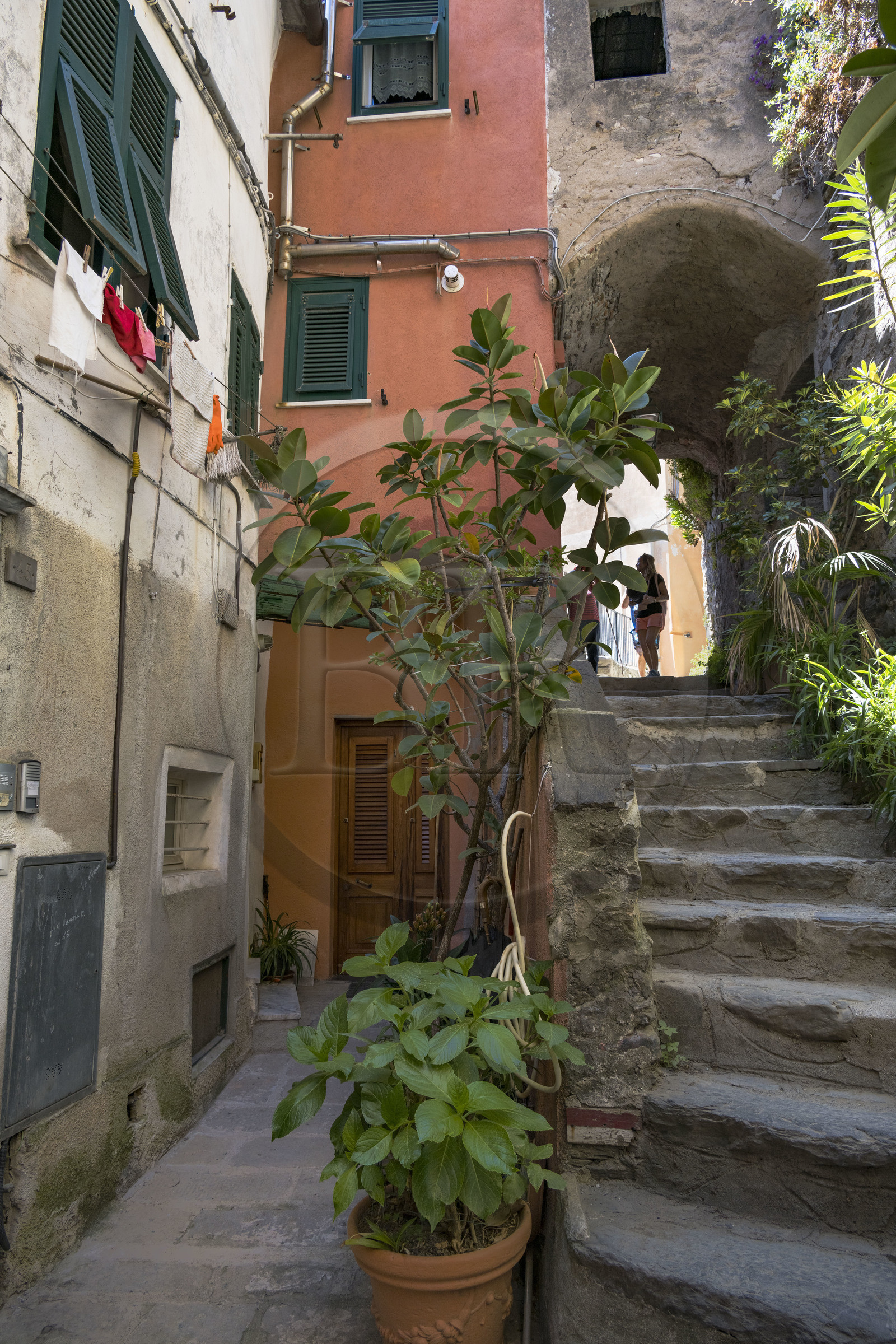 Italy, Liguria, Cinque Terre National Park listed as World Heritage by UNESCO, village of Vernazza,