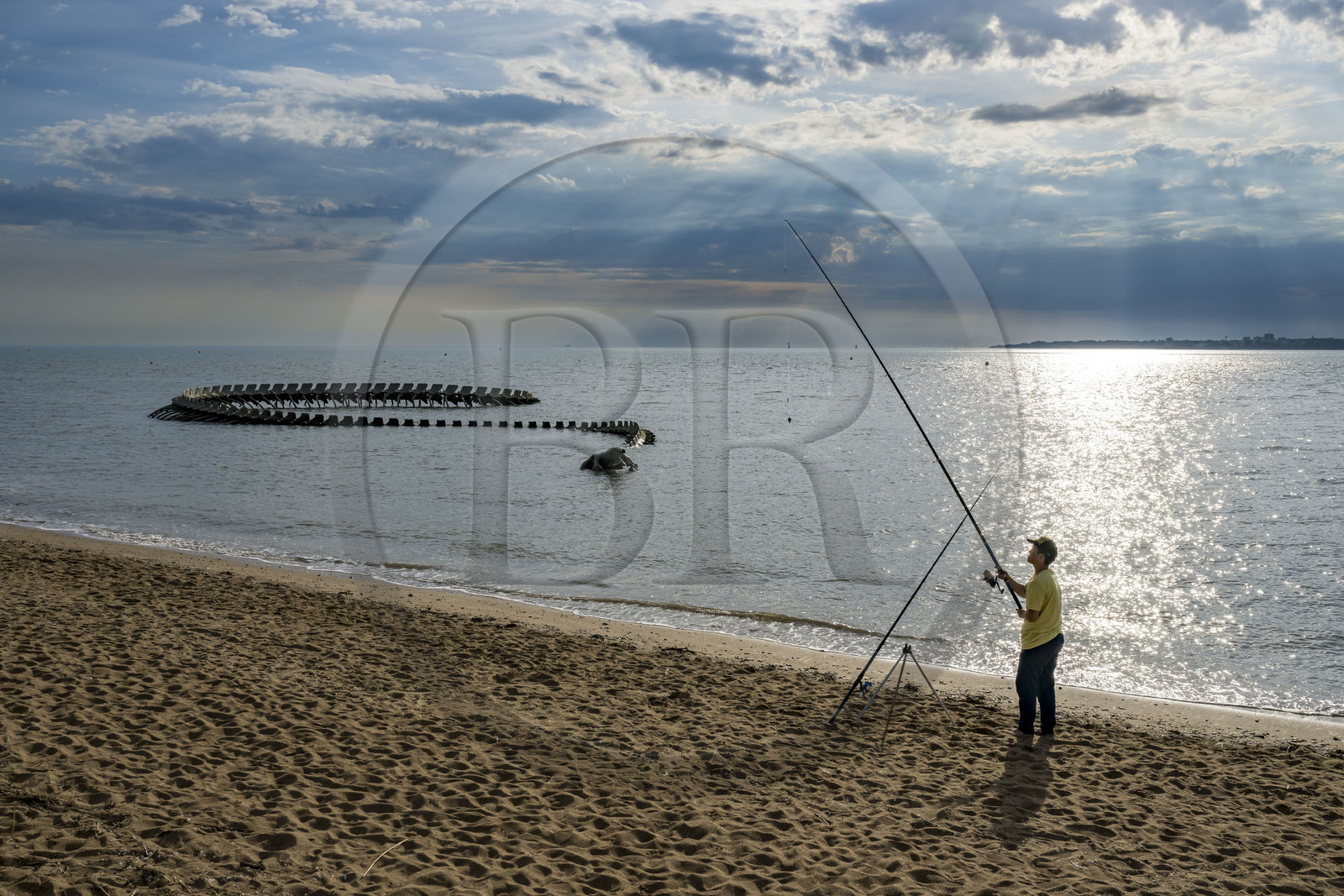 Saint-Brevin-les-Pins, Mindin, collection d'art contemporain à ciel ouvert Estuaire, le Serpent d'Océan réalisé par l'artiste chinois Huang Yong Ping représentant un long squelette de serpent de mer, installé sur l'estran et apparaissant au rythme des marées