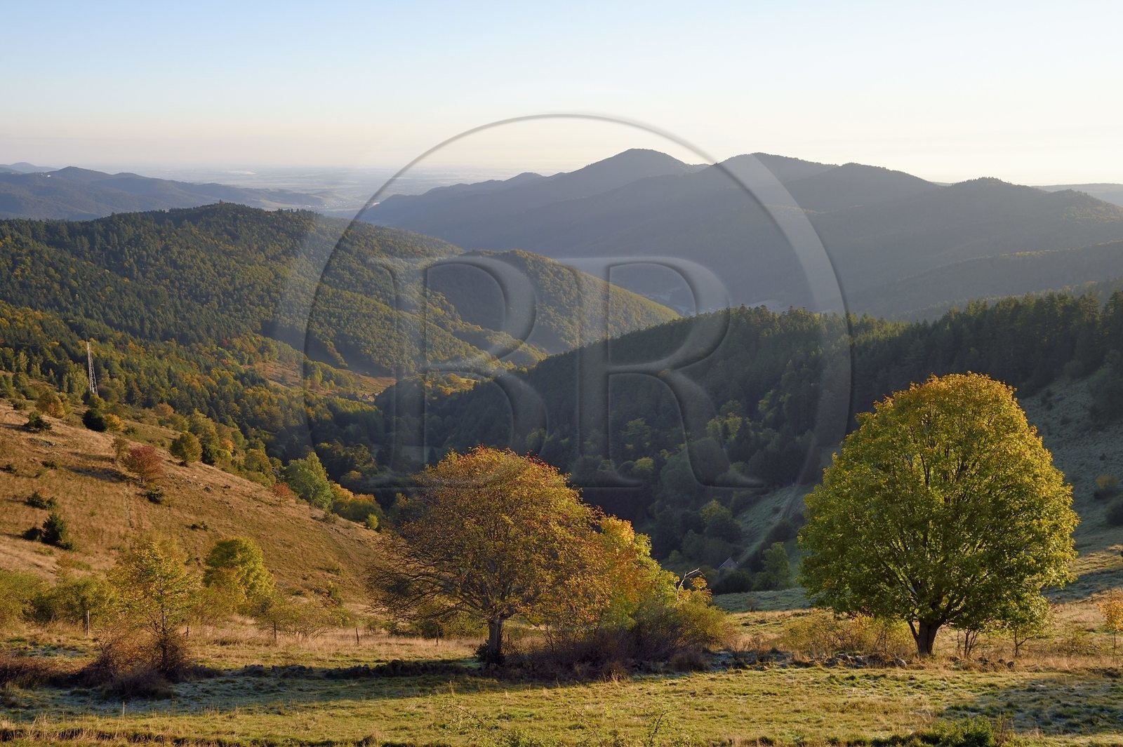 France, Haut Rhin, Wasserbourg, massif of the Vosges bordering the plain of Alsace (in the background) from the Petit Ballon mountain