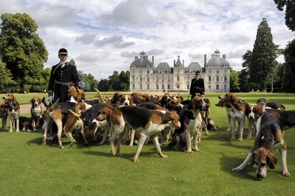France, Loir-et-Cher (41), château de Cheverny, les piqueux Vol au Vent et La Rosée qui gèrent la meute de 90 chiens de chasse à cour