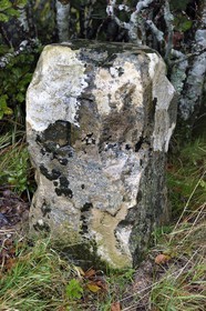 France, Vosges (88), Parc naturel régional des ballons des Vosges, Saint-Maurice-sur-Moselle, chaume de Gazon Rouge, ancienne borne frontière franco-allemande dont on peut voir le F