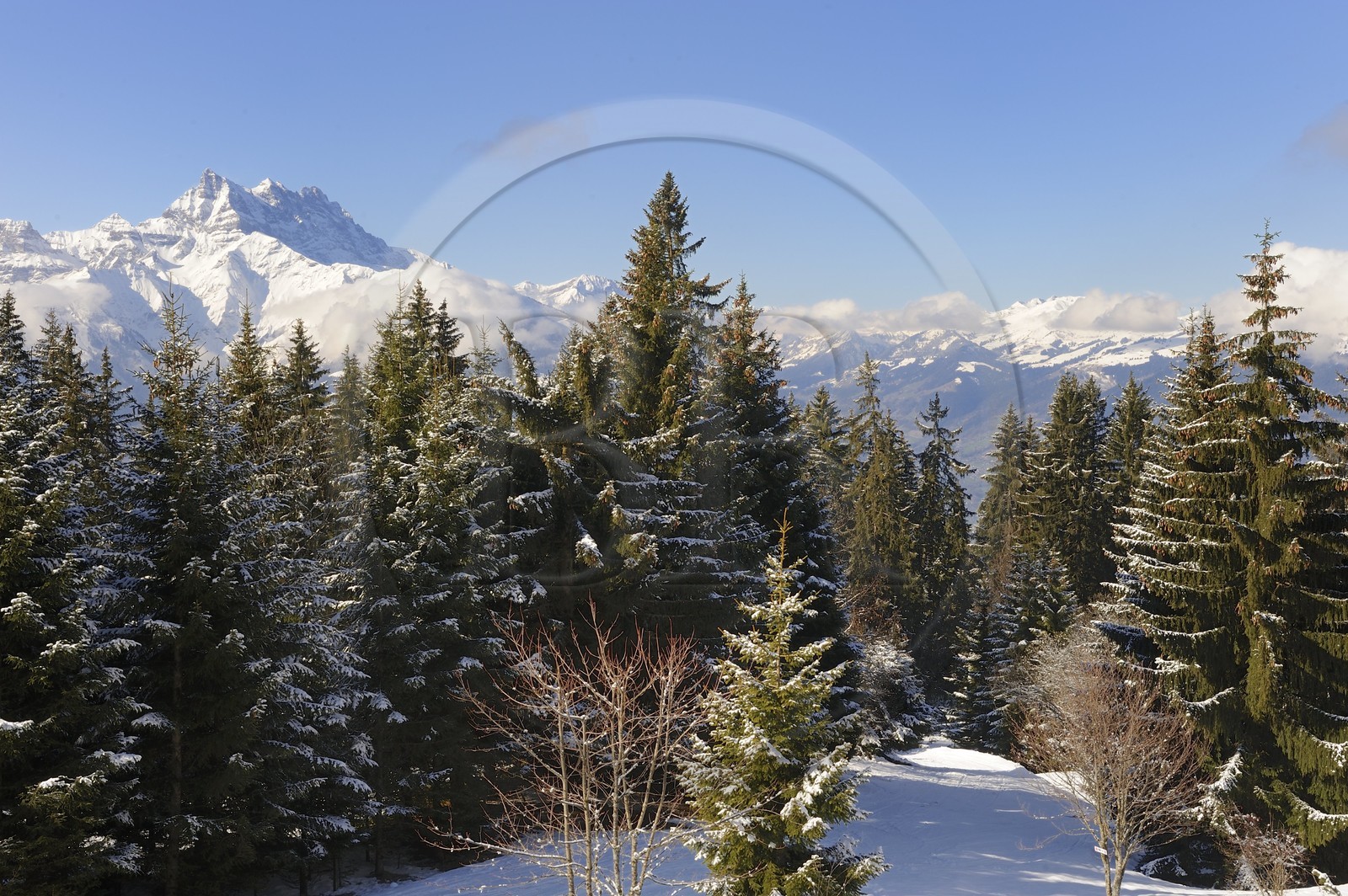 Switzerland, Canton of Vaud, Villars sur Ollon