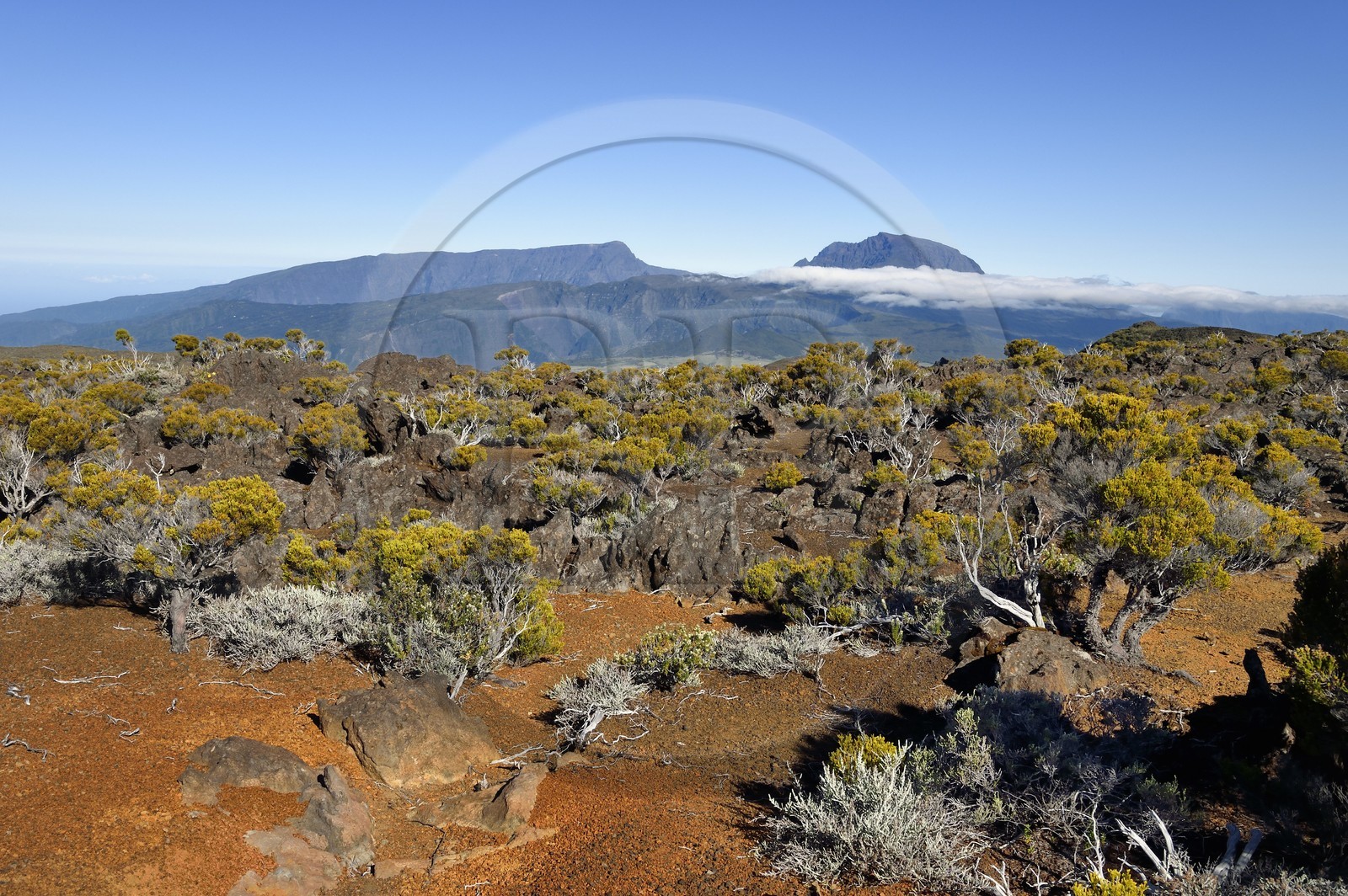 France, Ile de la Reunion, Parc National de la Réunion classé Patrimoine Mondial de l'UNESCO, sur les pentes du volcan de Piton de la Fournaise, randonnée du sentier couvert de lapillis de l'oratoire Ste Thérèse au dessus de la Plaine des Sables, le Piton des Neiges en arrière plan au nord