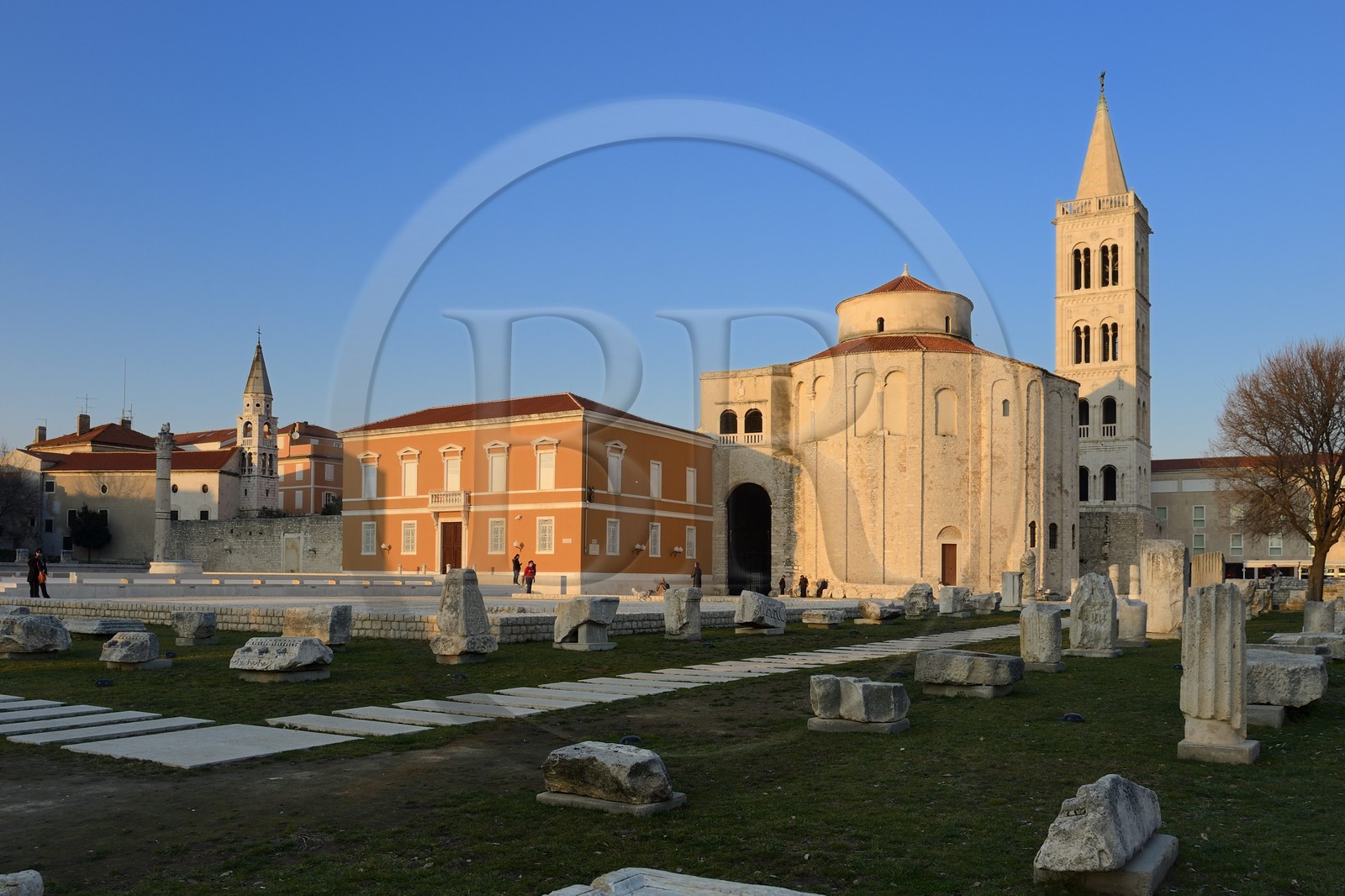Croatie, Dalmatie, côte dalmate, Zadar, le forum romain, l'église Saint Donat et le campanile de la cathédrale
