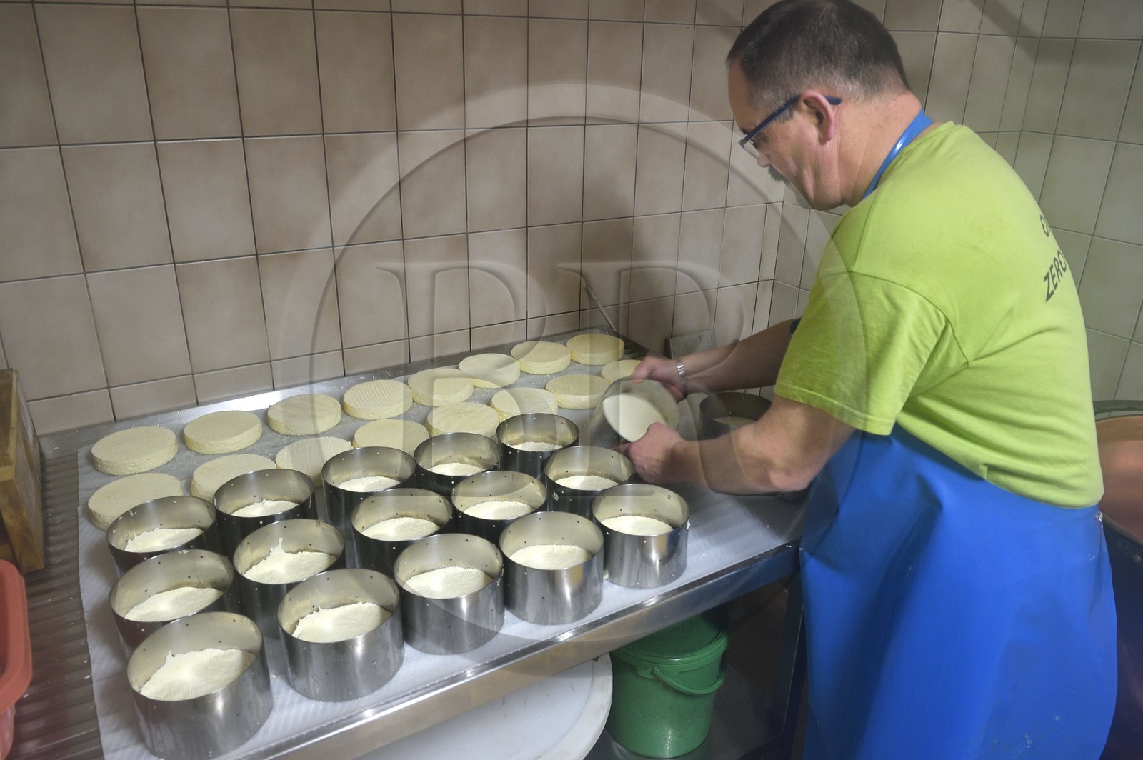 France, Haut-Rhin (68), Kruth, ferme auberge marcaire du Schafert, Serge Sifferlen à la fabrication du fromage munster AOP