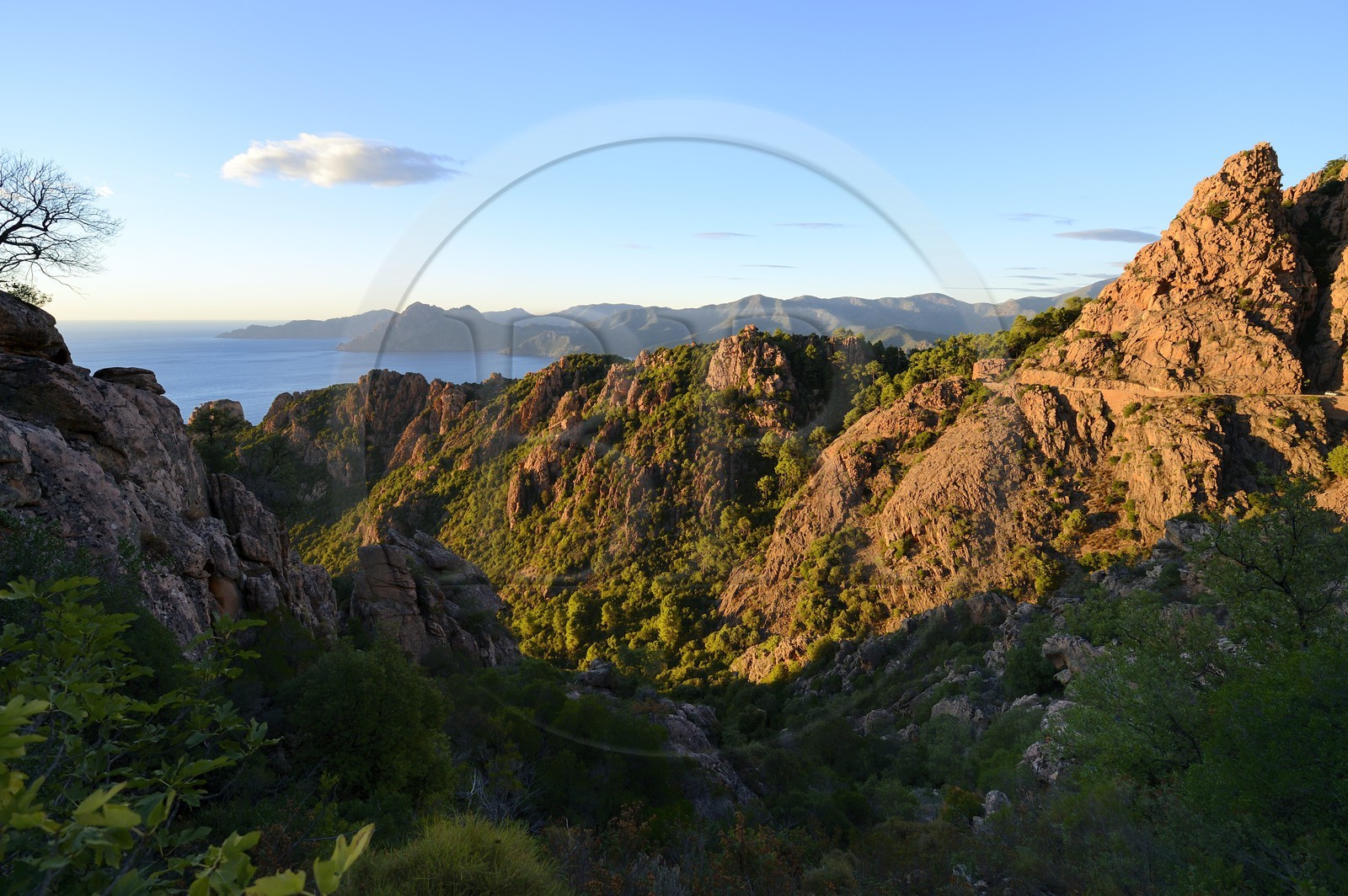 France, Corse du Sud, Golfe de Porto, listed as World Heritage by UNESCO, the Creeks of Piana (Calanches de Piana) with pink granite rocks and the D81 road between Porto and Cargese, the Capo Senino and the Scandola peninsula Nature Reserve in the background
