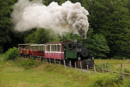 France, Moselle (57), Abreschviller, le petit train anciennement train forestier